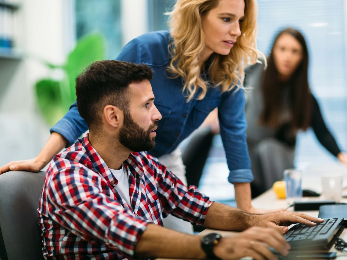 L'équipe illicium au travail
